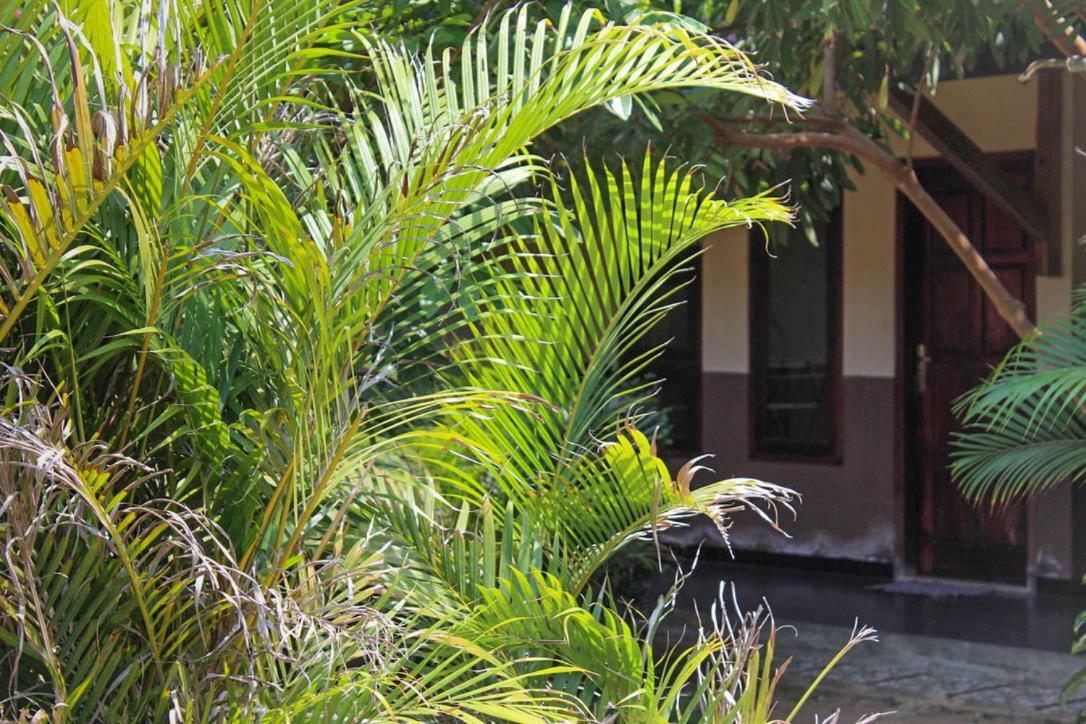 Ferienwohnung Harrys Oceanhouse 2 Pacitan Exterior foto